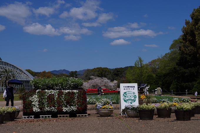 京都府立植物園_2024-04　No2